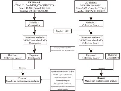 Causal association between constipation and risk of colorectal cancer: a bidirectional two-sample Mendelian randomization study